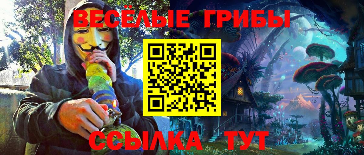 Галлюциногенные грибы Magic Shrooms Екатеринбург